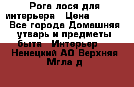 Рога лося для интерьера › Цена ­ 3 300 - Все города Домашняя утварь и предметы быта » Интерьер   . Ненецкий АО,Верхняя Мгла д.